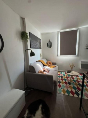 Homey space